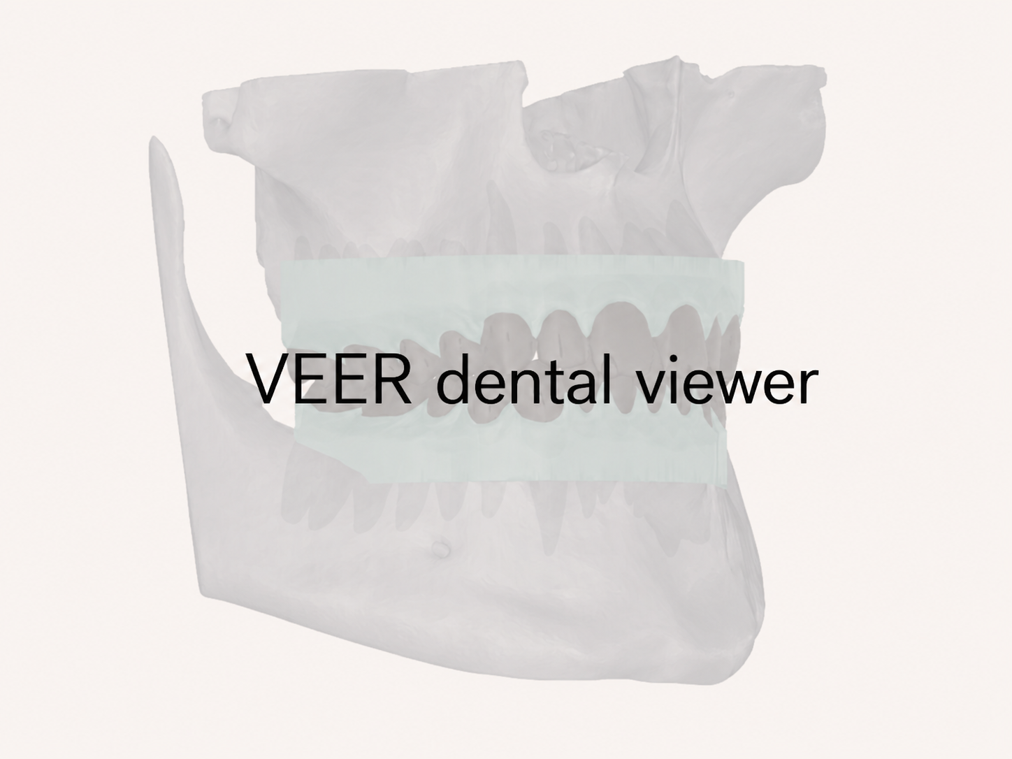Module 8 -  VEER dental viewer